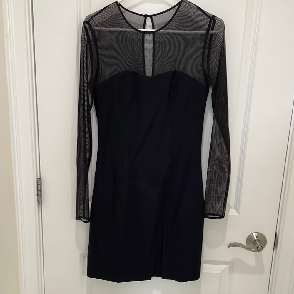 Elegant Black Sheer Sleeve Dress